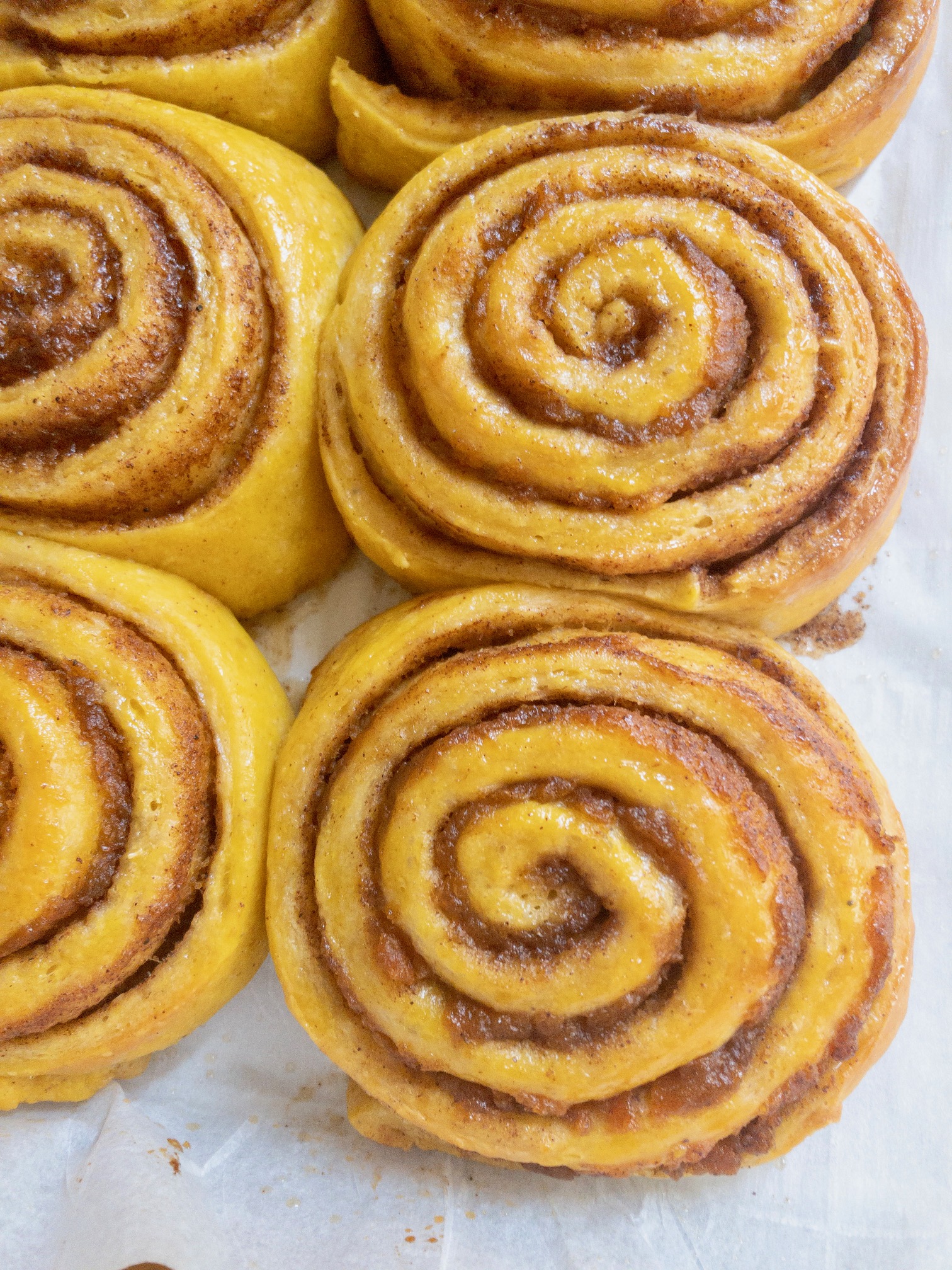 10/24 Riverdale: Spooky and Spiced variety box brown butter pumpkin
